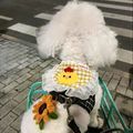 https://p0.meituan.net/userheadpicbackend/9adfe35bf4b64ec14195dbc45344184e580230.jpg%40120w_120h_1e_1c_1l%7Cwatermark%3D0