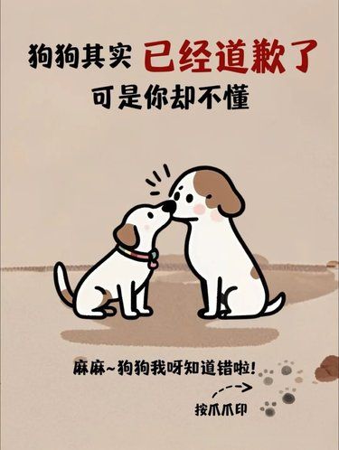 狗狗的道歉方式，你读懂了吗？