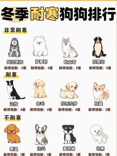 狗狗保暖小技巧