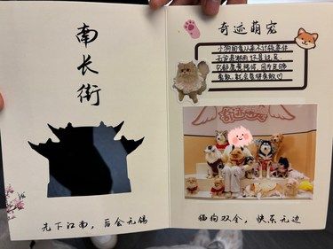和毛小孩的快乐时光