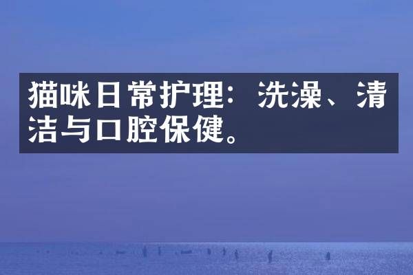 猫咪日常护理：洗澡、清洁与口腔保健。
