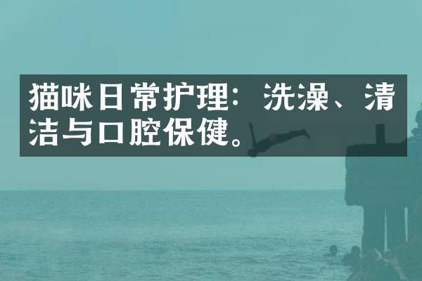 猫咪日常护理：洗澡、清洁与口腔保健。