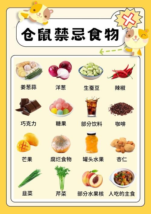 仓鼠的养殖技术与管理,仓鼠的养殖技术与管理方法