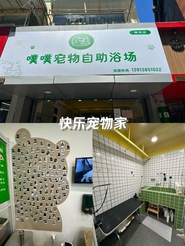 新街口地区高性价比洗宠店！