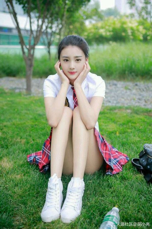 宠物龟怎么养鱼(可以和鱼儿共处一室吗？)