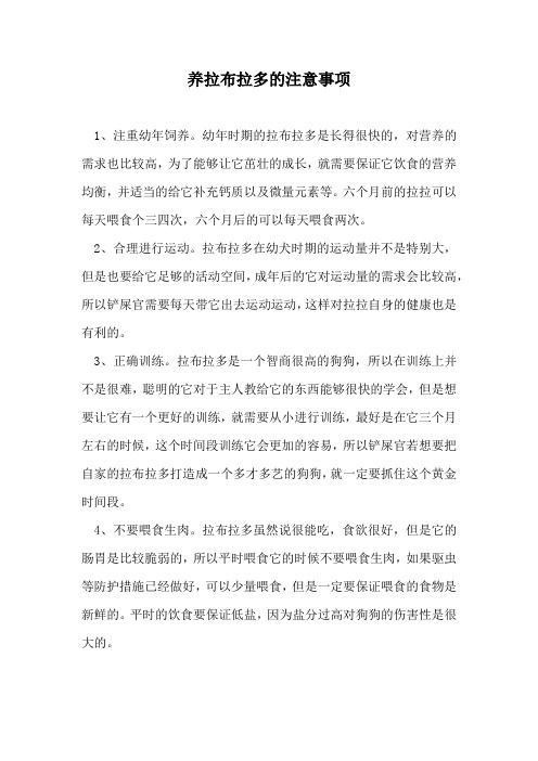 养拉布拉多的注意事项