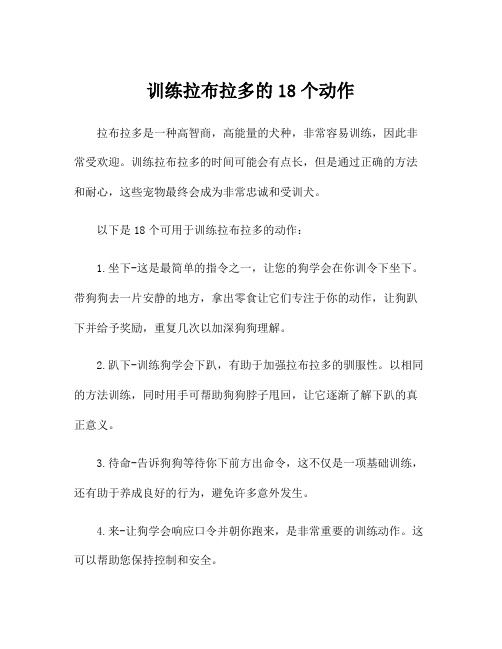 训练拉布拉多的18个动作