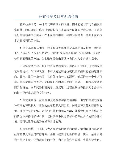 拉布拉多犬日常训练指南