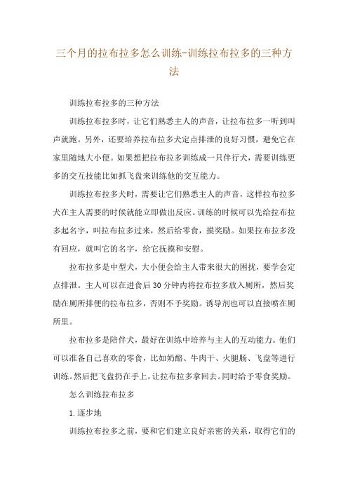 三个月的拉布拉多怎么训练-训练拉布拉多的三种方法