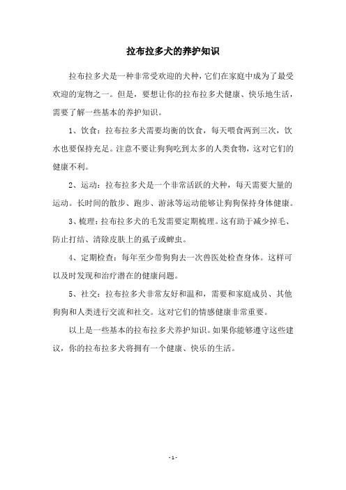 拉布拉多犬的养护知识