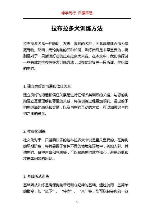 拉布拉多犬训练方法