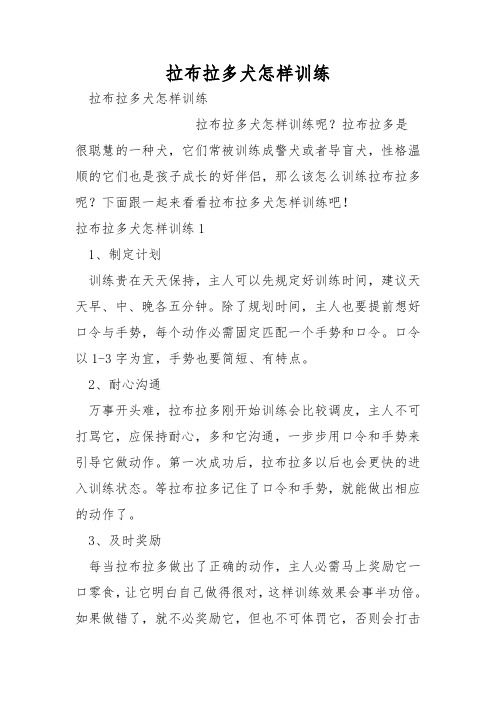 拉布拉多犬怎样训练