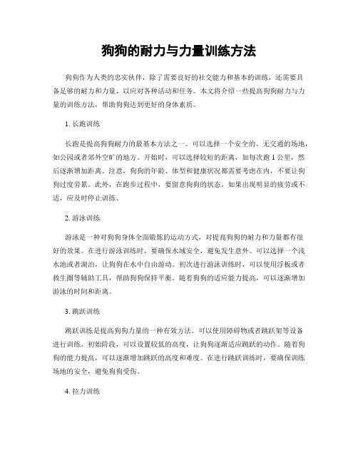 狗狗的耐力与力量训练方法