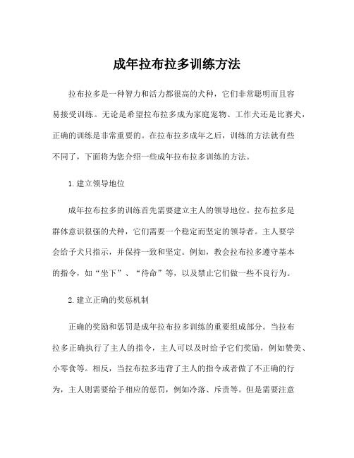 成年拉布拉多训练方法