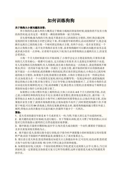 拉布拉多犬日常训练指南