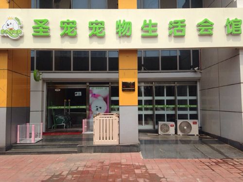 在县城开宠物店怎么样