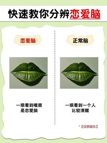 测试一下