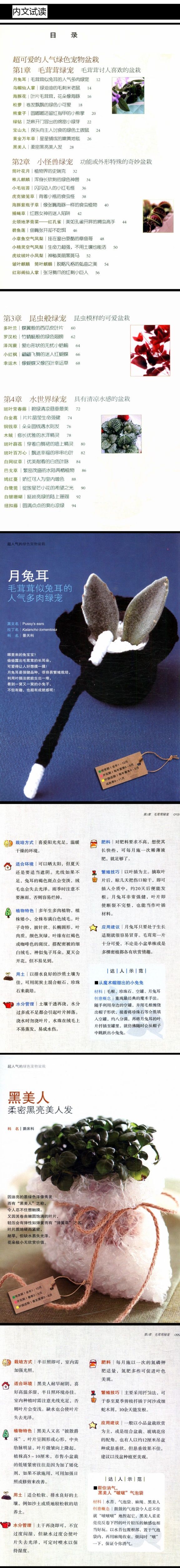 超人气的绿色宠物盆栽/实用宝典常见多肉植物这样养原色图鉴阳台种花与景观设计零基础养多肉