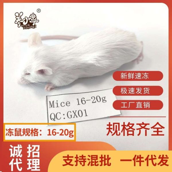 tb6572335234爬虫/鸣虫食物