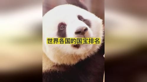 不同国家可爱的国宝都是什么？
