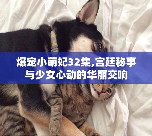 爆宠小萌妃32集,宫廷秘事与少女心动的华丽交响