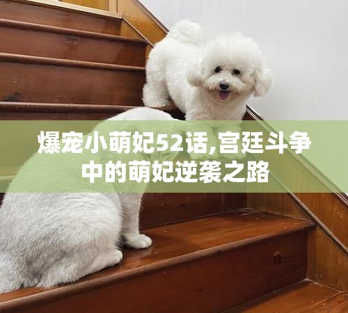 爆宠小萌妃52话,宫廷斗争中的萌妃逆袭之路
