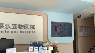 莱乐宠物医院，毛孩子的健康堡垒