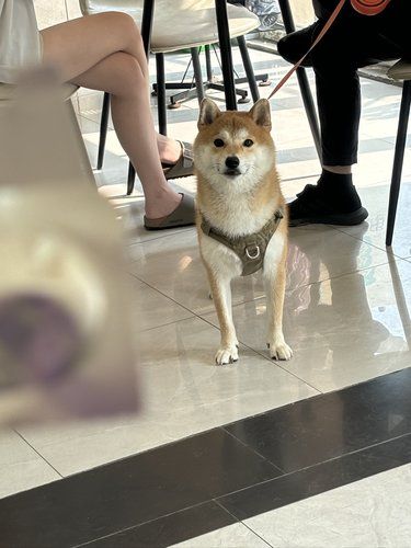 汪的心情日记~