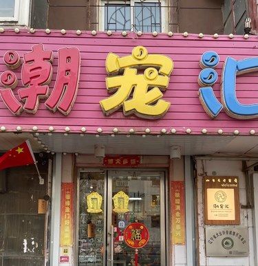 咦，有家暖心的宠物屋