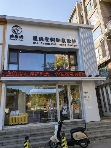 瑞麦楒星级宠物形象设计