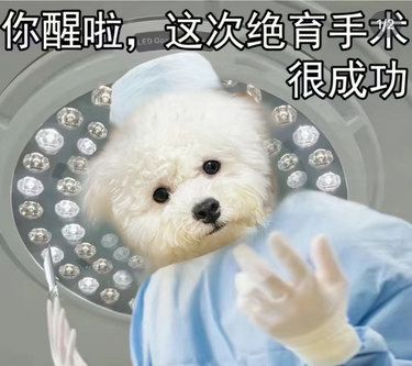 新年到 爱宠健康我来守护‼️这家一直是我首选