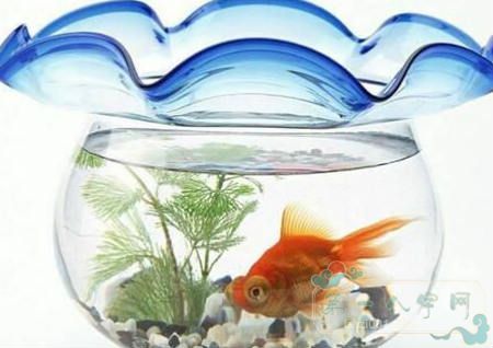 室内风水