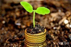 墨兰养护全攻略：最佳摆放位置与养护技巧
