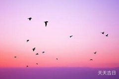 办公桌上摆鱼缸好吗？利弊与摆放技巧解析