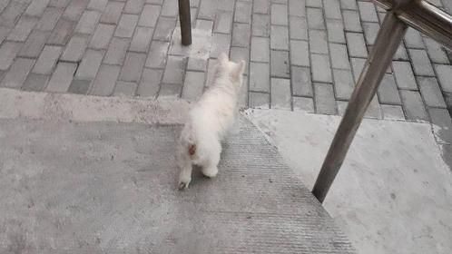 走吧！溜达一圈就回家吧