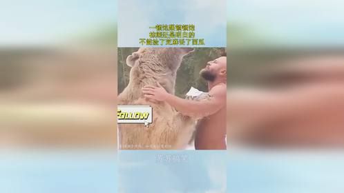 一顿饱跟顿顿饱，棕熊还是明白的，不能捡了芝麻丢了西瓜
