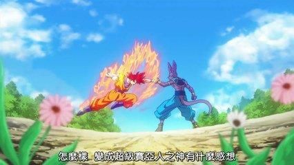 龙珠比鲁斯是什么猫(破坏神比鲁斯是什么猫)