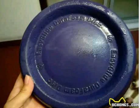 有哪些耐用的宠物狗用品？