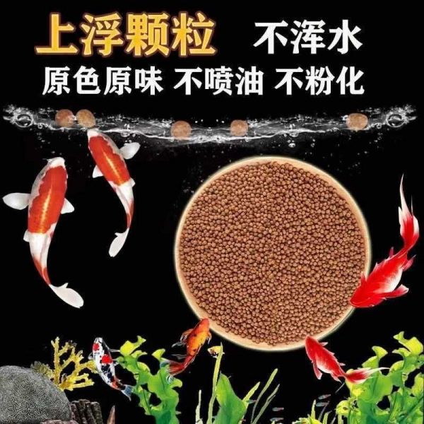 观赏鱼专用饲料购买指南：如何挑选合适的观赏鱼饲料 观赏鱼百科 第1张
