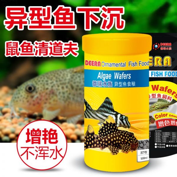 观赏鱼专用饲料购买指南：如何挑选合适的观赏鱼饲料 观赏鱼百科 第4张