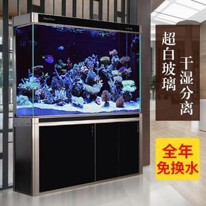 龙鱼缸配件（龙鱼缸增氧设备选择指南）