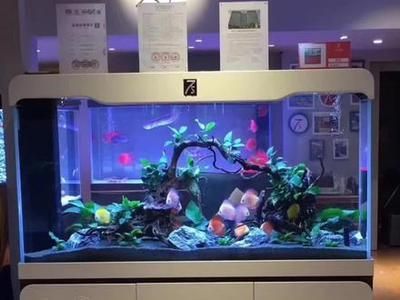 7s鱼缸是哪个厂家的：7s鱼缸品牌佳宝jebo选购指南 鱼缸百科 第2张