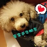 生滋猫 Salty