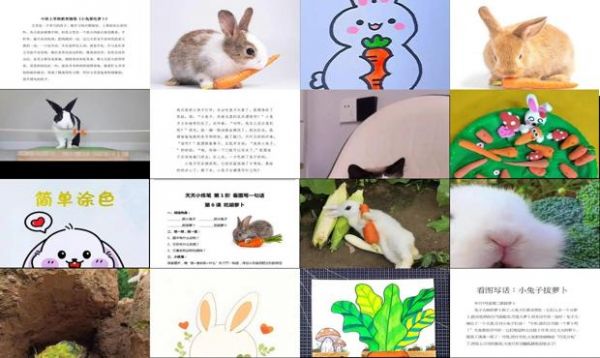 兔子吃萝卜的动作描写