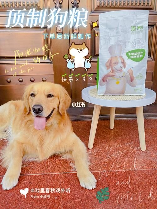 狗狗的维生素h怎么补充