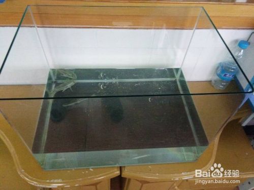 成品鱼缸养鱼技巧:成品鱼缸养鱼技巧:成品鱼缸养鱼的几项养护技巧 鱼缸百科 第2张