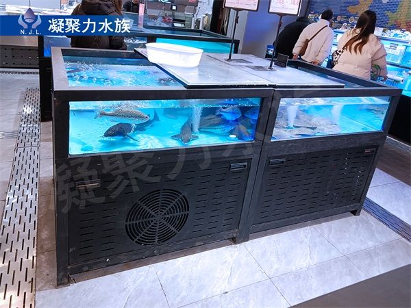 重庆鱼缸厂家