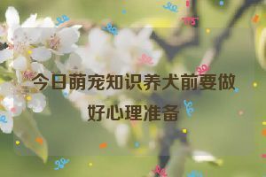 今日萌宠知识养犬前要做好心理准备