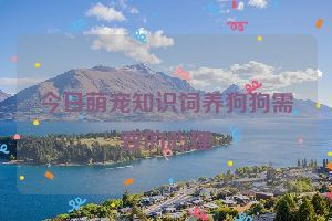 今日萌宠知识饲养狗狗需要的心理