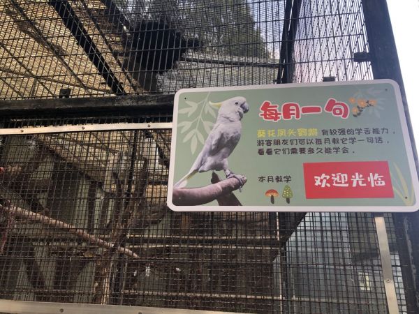 葵花.jpg